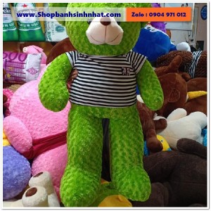 Gấu Bông Teddy Hàn Quốc - GAU07